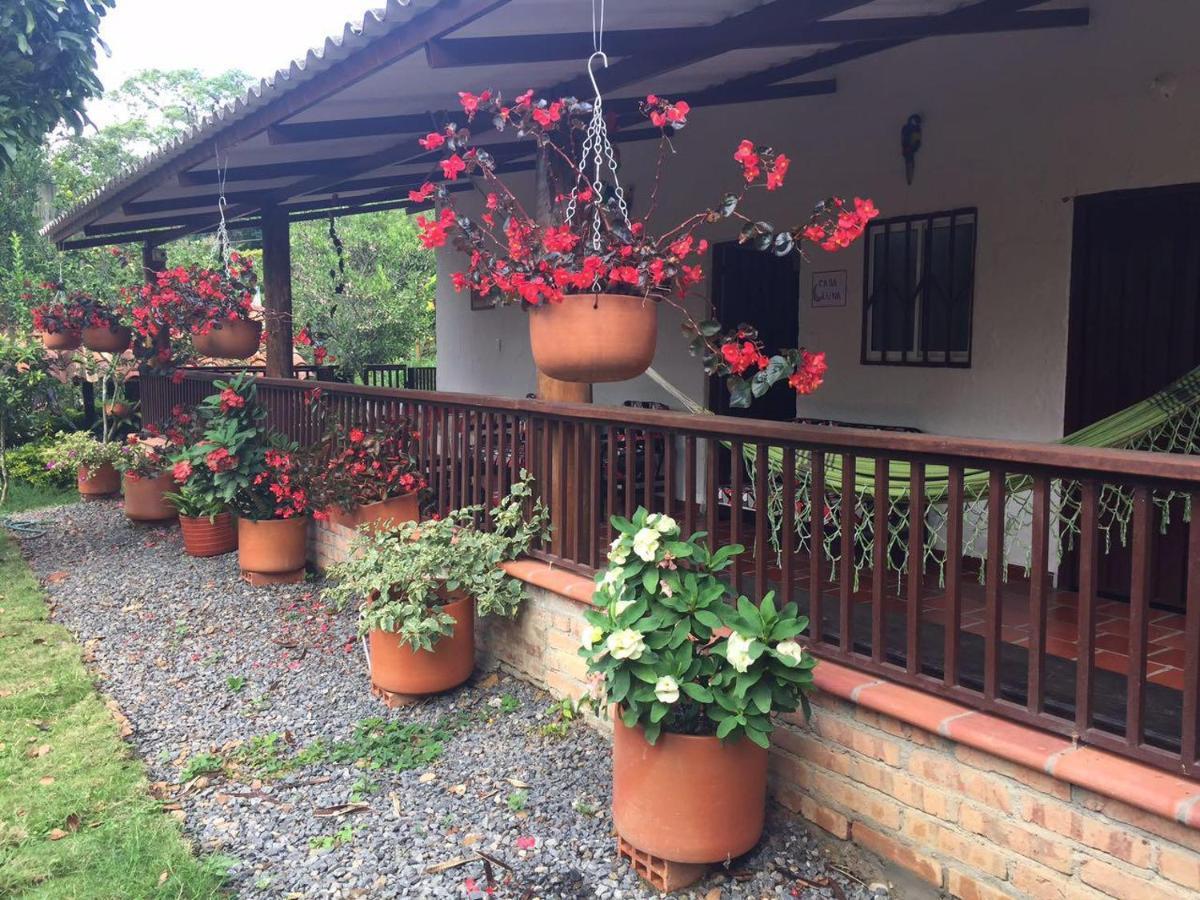 Finca Sol Y Luna Сан Хил Екстериор снимка